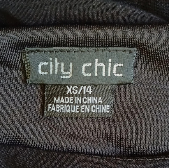 City Chic Floral Fling Embroidered Dress - Picture 6 of 8